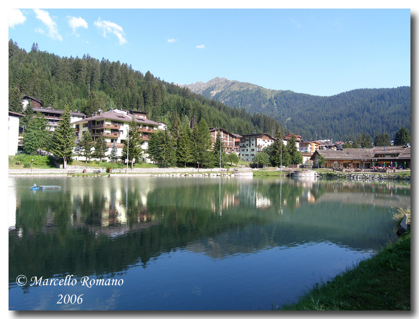 Insetti del Parco Adamello Brenta (TN): immagini e appunti